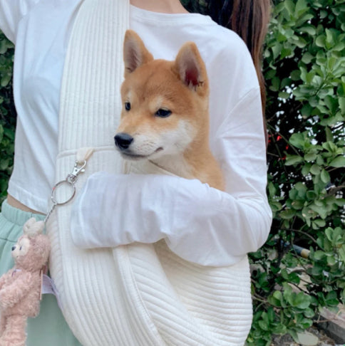Portable Cross Body Pet Canvas Bag For Going Out