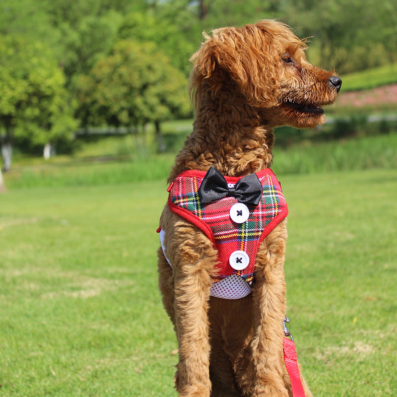 Small Dog Teddy Vest-style Bow Evening Dress With Chest Strap