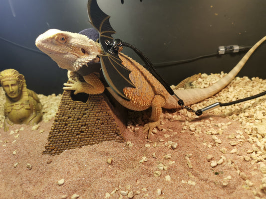 Lizard Pulling Rope Crawling Pet Out Leather Wings