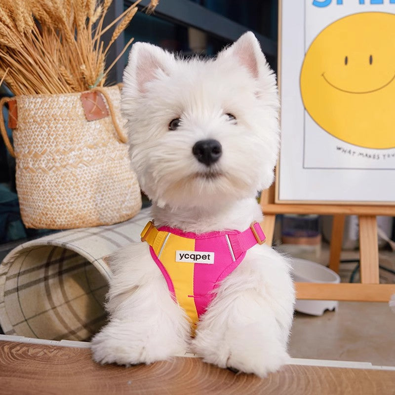 Cute Color Matching Dog Hand Holding Rope Reflective Chest Strap