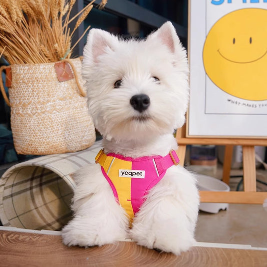 Cute Color Matching Dog Hand Holding Rope Reflective Chest Strap