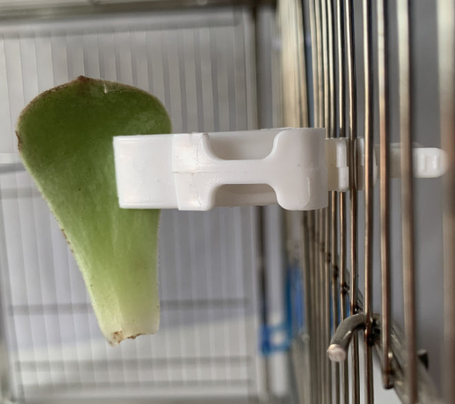 Parrot Fruit Basket Bird Supplies Feeder