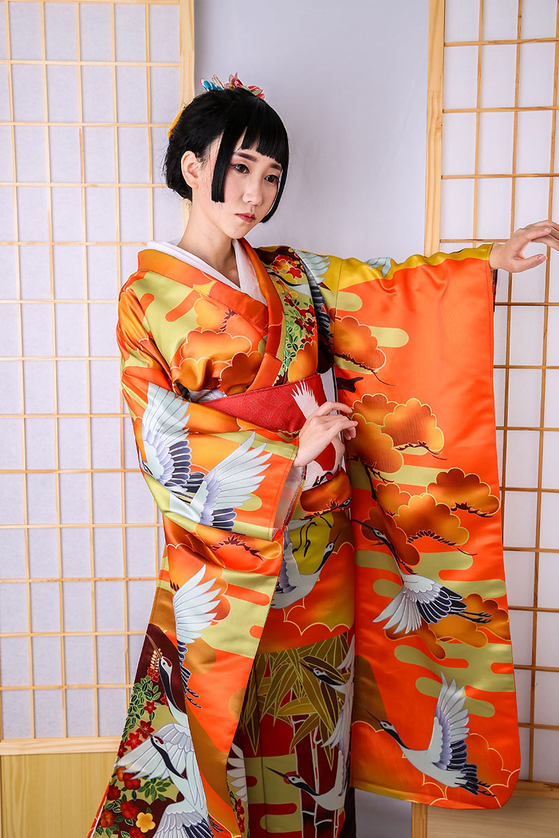 Auspicious Clouds And Cranes Jinxiutu Kimono Formal Dress