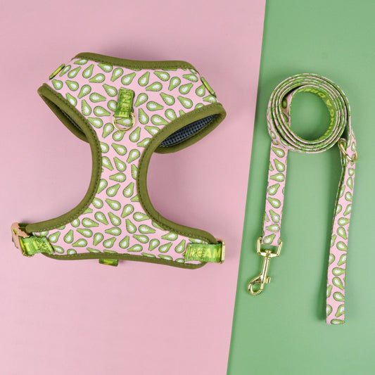 Summer Cute Pet's Chest-back Haulage Rope Package Suitable For Medium And Large Pet Dogs