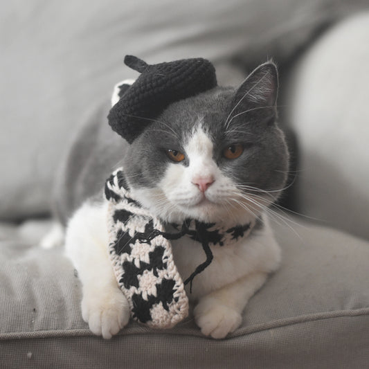 Small Hat Beret Knitting Plaid Small Scarf Dog