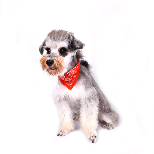 Pet Dog Triangular Binder Scarf