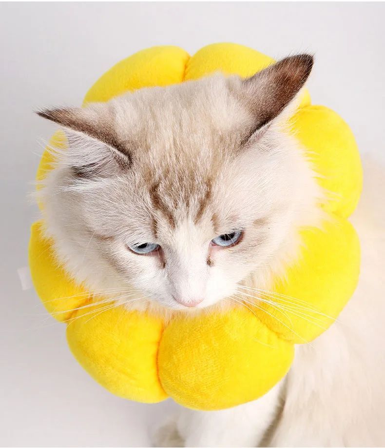 Cat Sunflower Elizabeths Cotton Neck Sterilization Feeding Anti Lick Bite Beauty Head Cover Dog Pet Collar Cat Anti-Licking Ring