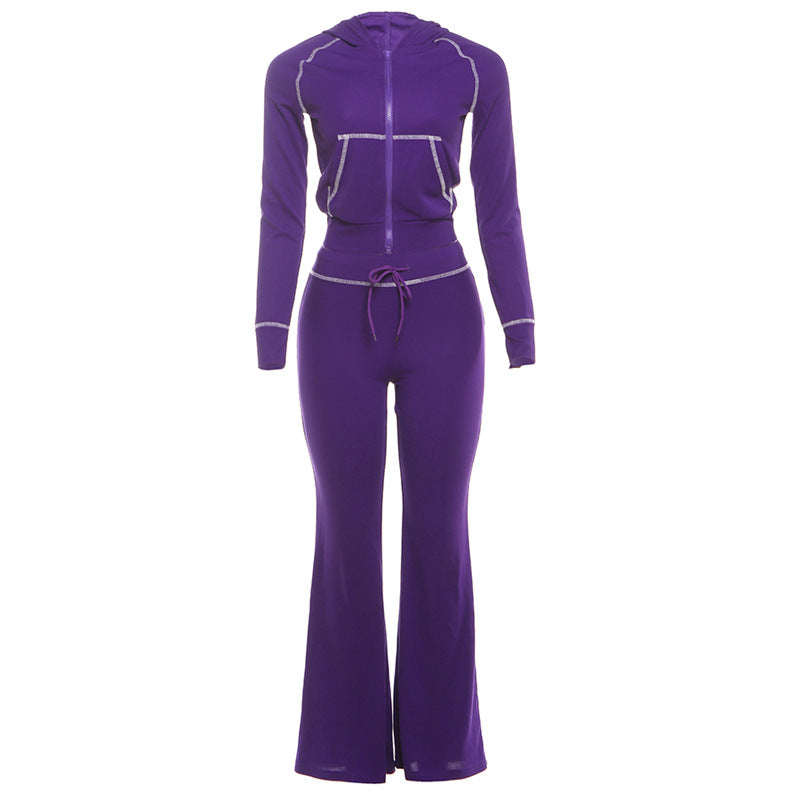 Stylish  Chic Casual Commuter Hoodie And Pants Set For Women