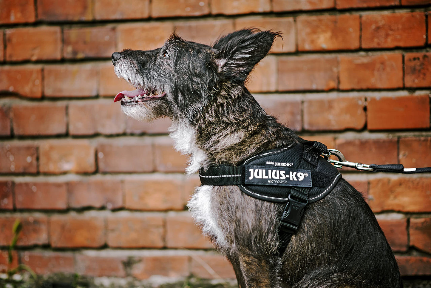 Hundetilbehør kan tilpasses træktov til mellemstore og store hunde