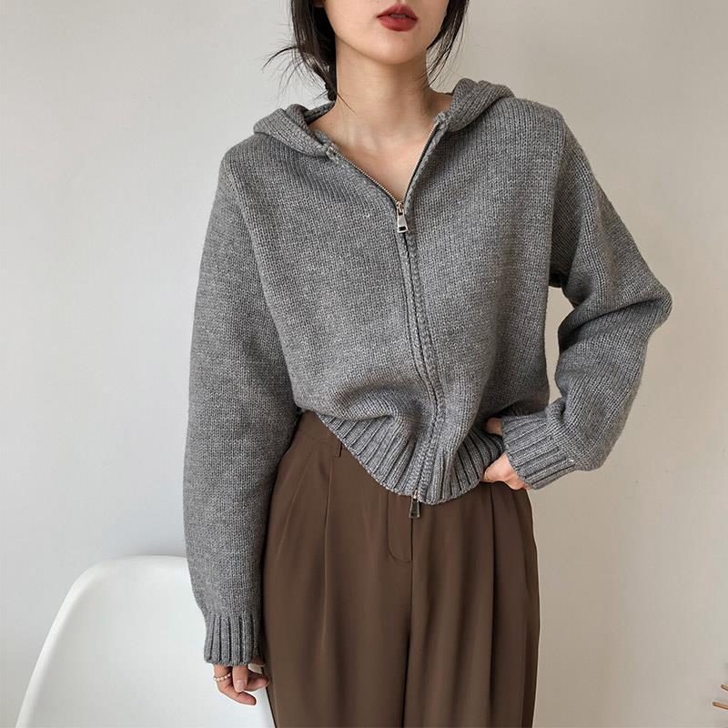 High-grade Korean Sweater For Women Padded Top Outer Wear