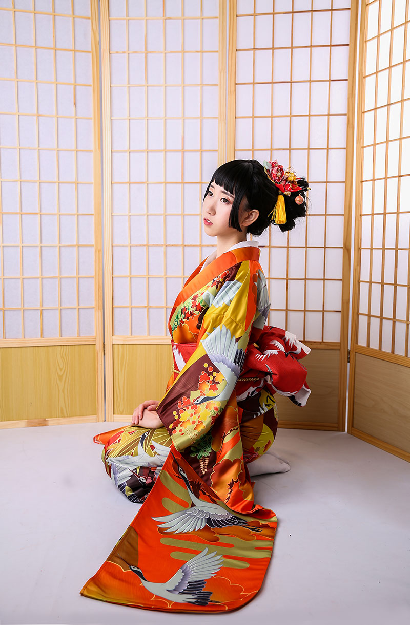 Auspicious Clouds And Cranes Jinxiutu Kimono Formal Dress
