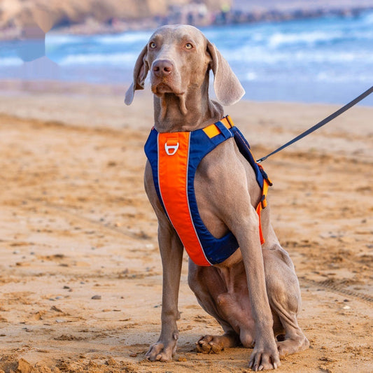 Hand Rope New Dog Chest Strap Vest Style