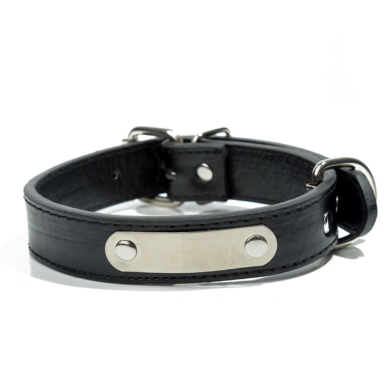 Stainless Steel Laser Engraved Iron Sheet PU Pet Collar