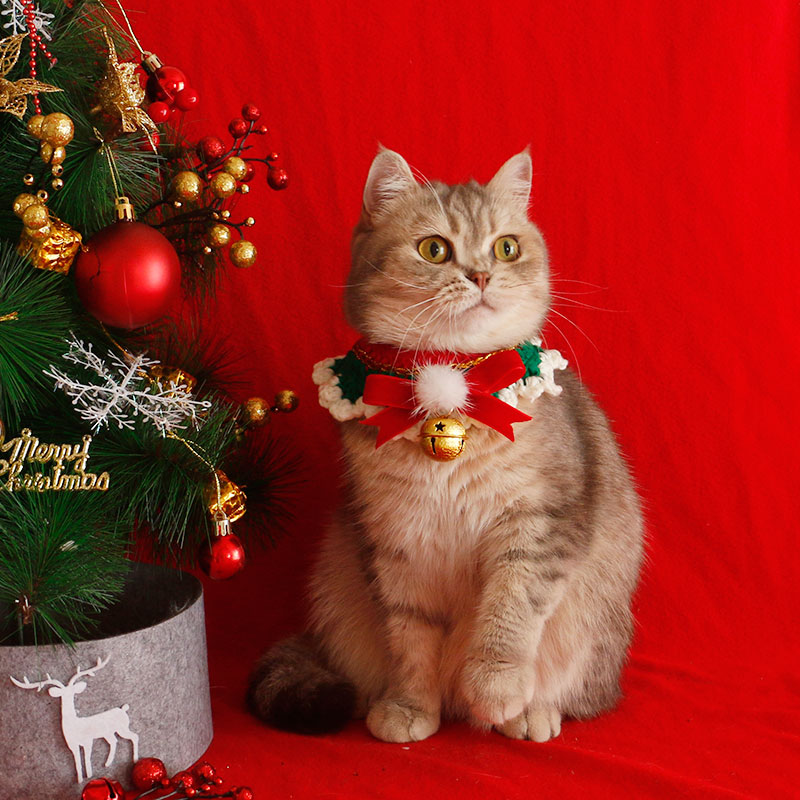 Cat Collar Scarf  Pet ChristmasNew Year's