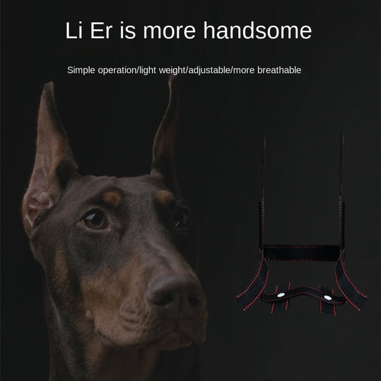 Dog Ear Stand Ear Correction Fixing Artifact