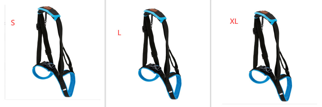 Pet Leg Strap Walking Support Dog Leg Support