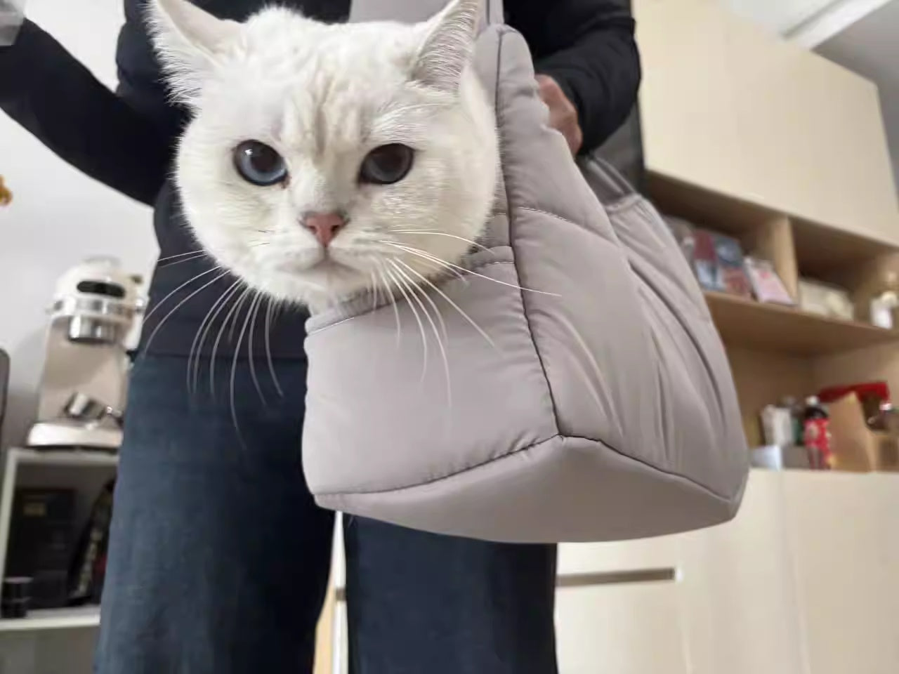 Bærbar skuldertaske med stor kapacitet til katte, når de skal ud