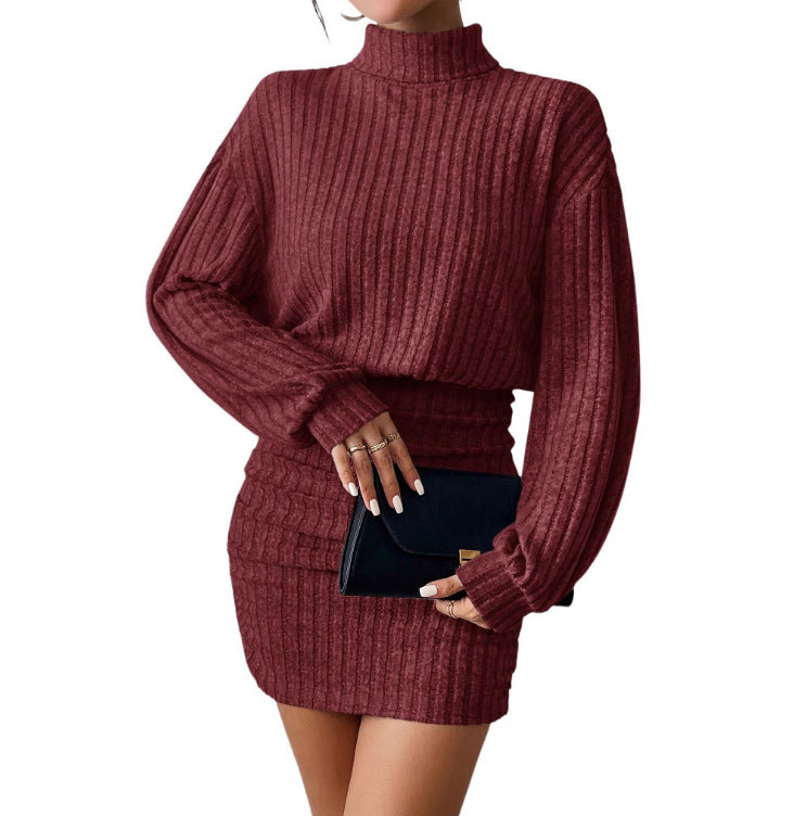 Hug-hem Long-sleeve Turtleneck Skirt Rib-knit Dress