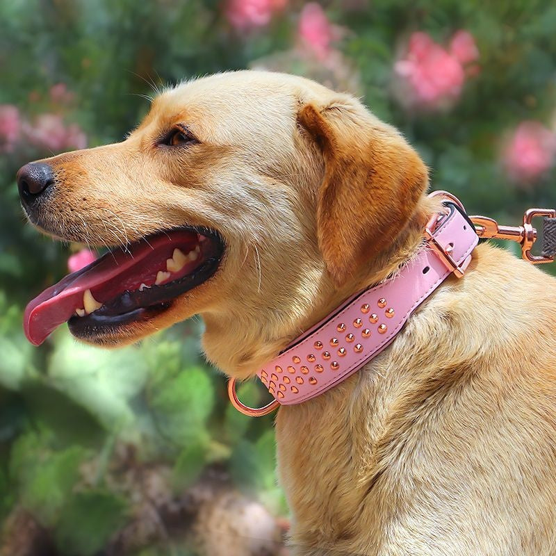 Dog Rivet Collar Anti-bite