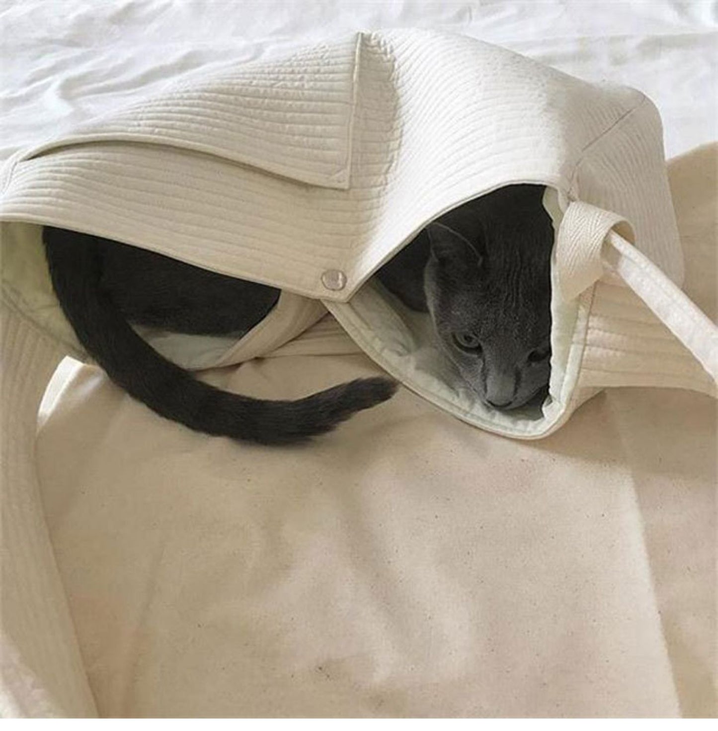 Portable Pet Cat Dog Backpack Canvas One Shoulder Bag