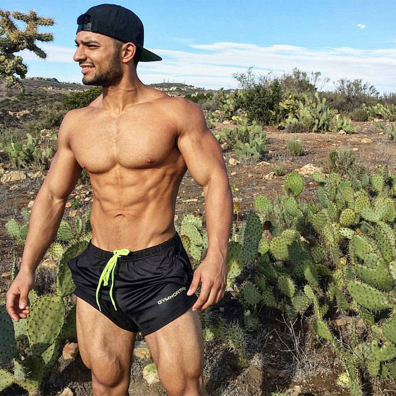 Fitness Territory Sports Shorts Men's Quick-drying
