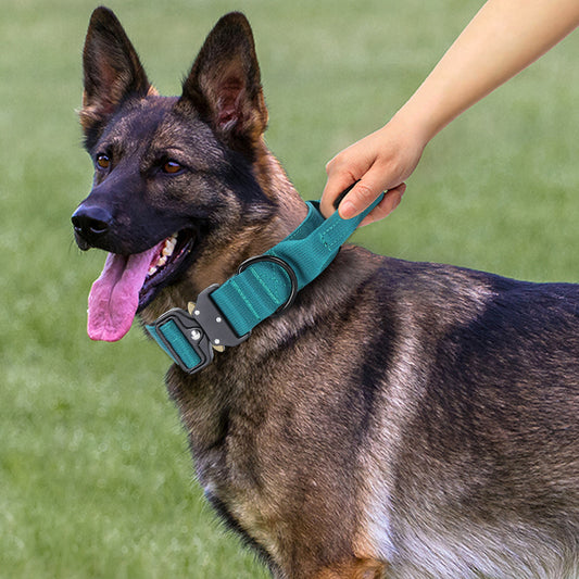 Explosion-proof Handle Collar Medium Large Dog