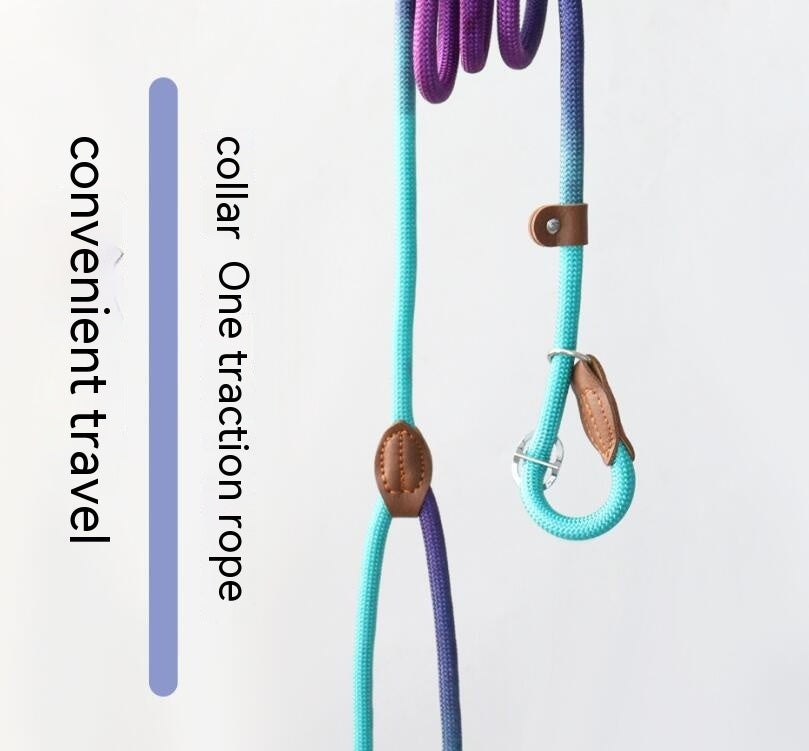 Colorful Durable Bold Nylon Pet Hand Holding Rope