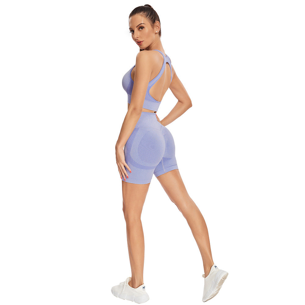 Women's Sports Yoga Seamless Tight Shorts