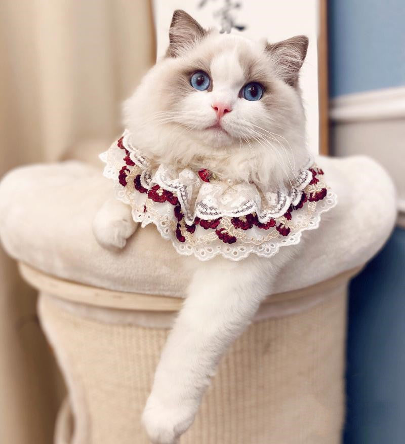 Cotton Lace Adjustable Bib Vip Bow