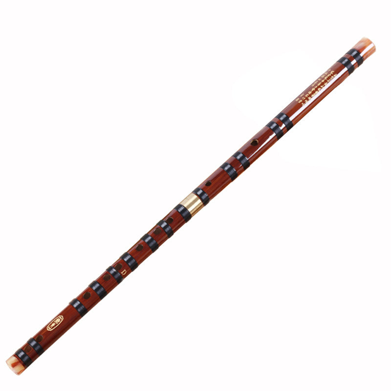 Single Plug Brass Two Segments Flute Beginner