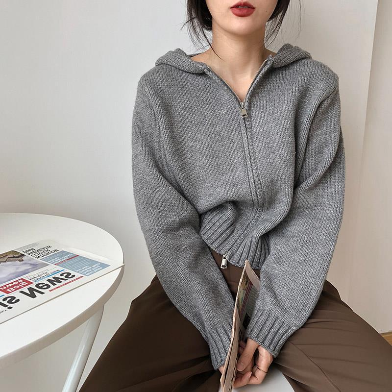 High-grade Korean Sweater For Women Padded Top Outer Wear