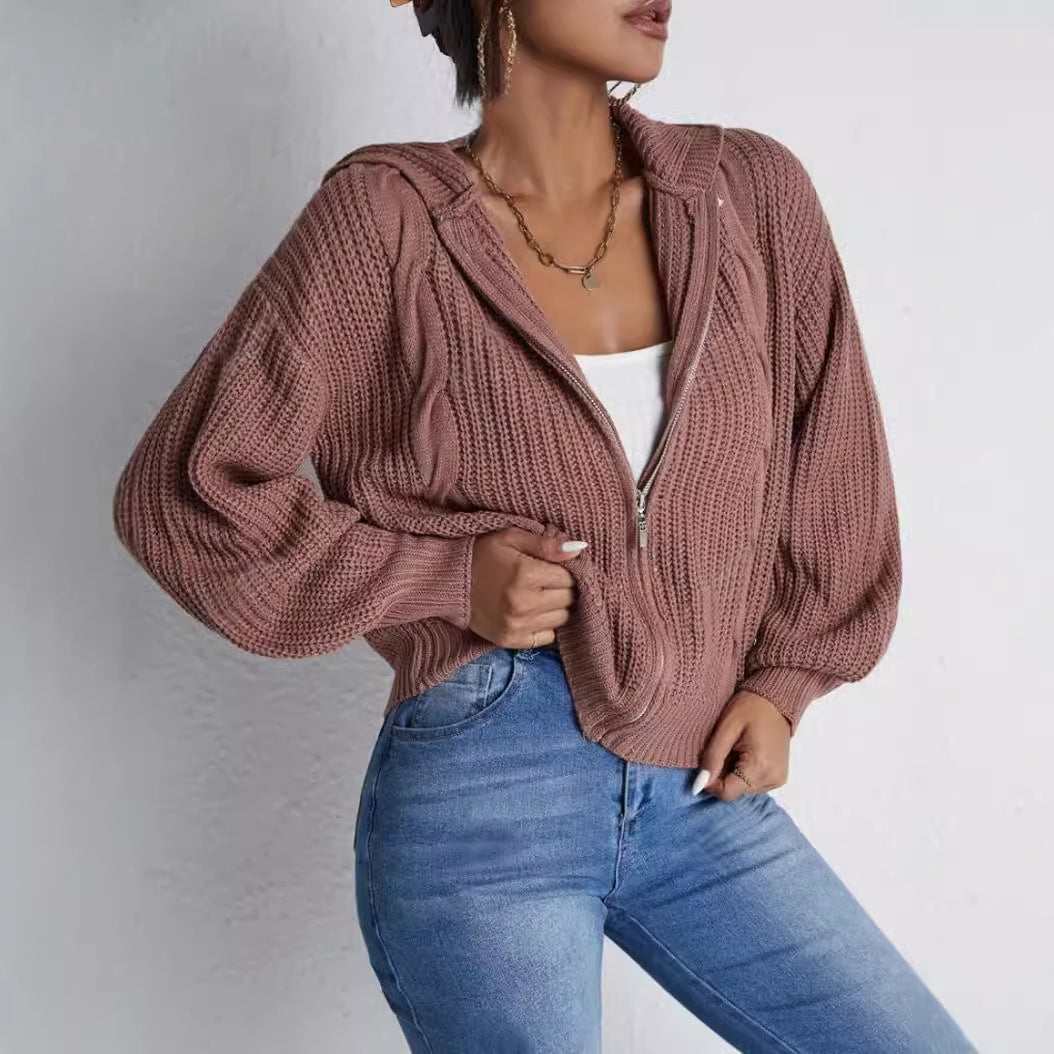Autumn And Winter Hooded Cardigan Knitted Waffle Sweater Top