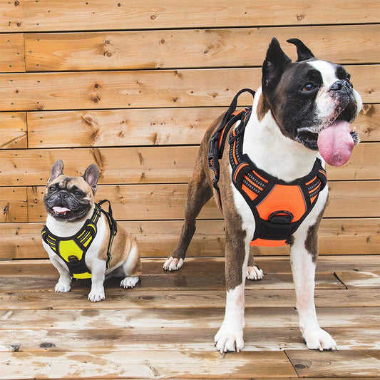 Pet Dog Hand Holding Rope Chest Strap