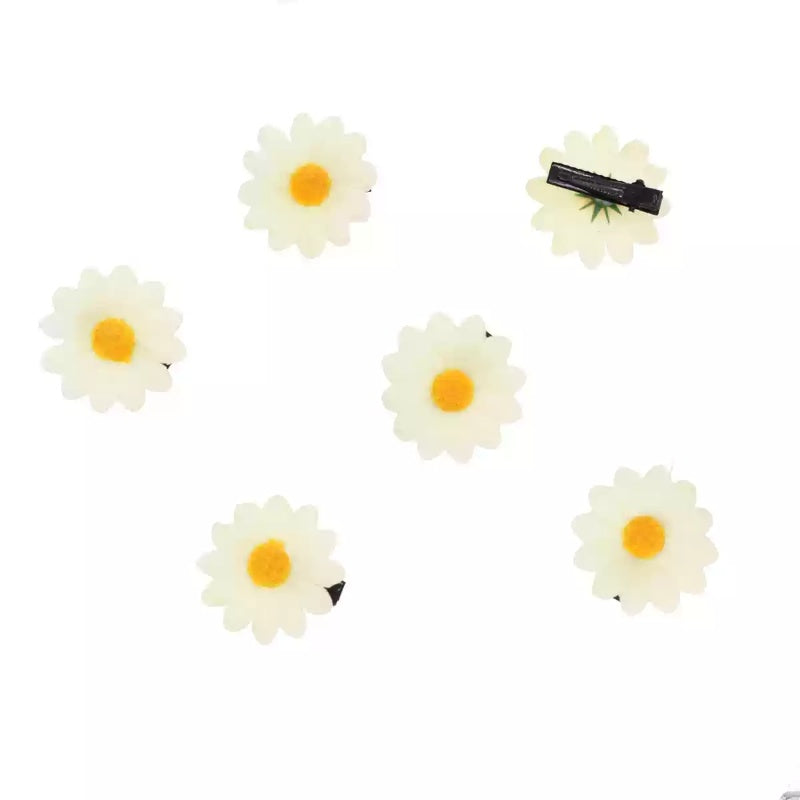 New Flower Barrettes Side Six-piece Set