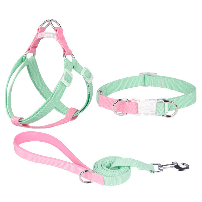Polyester Ribbon Dog Collar Pet Hand Holding Rope