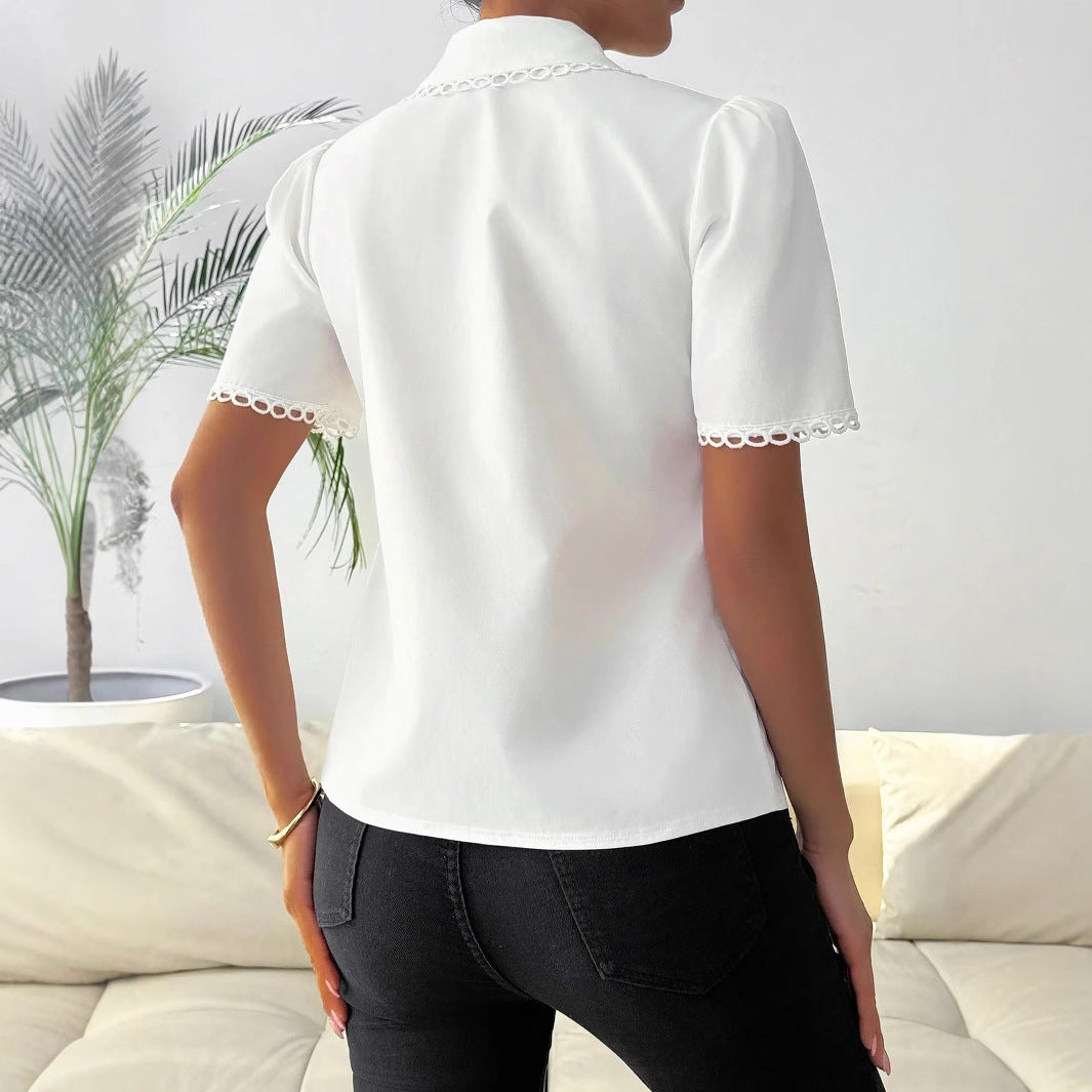 Spring-time Chic Chiffon Blouse For Women Stylish