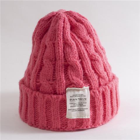Women's Fashion Casual Solid Color Woolen Hat