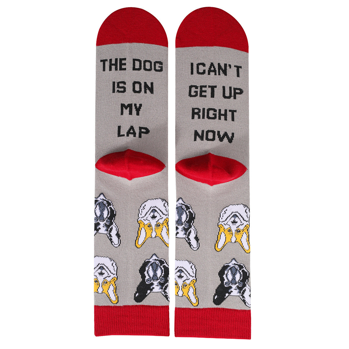 Cat, Dog  Animal Letters Men's Cotton Medium Tube Socks
