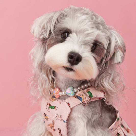 Photo Concave Shape Dog Accessories Pet Supplies Beaded Ornaments