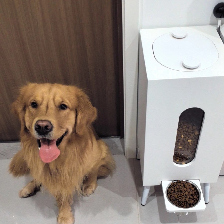 Wooden Pet Feeder Large Capacity