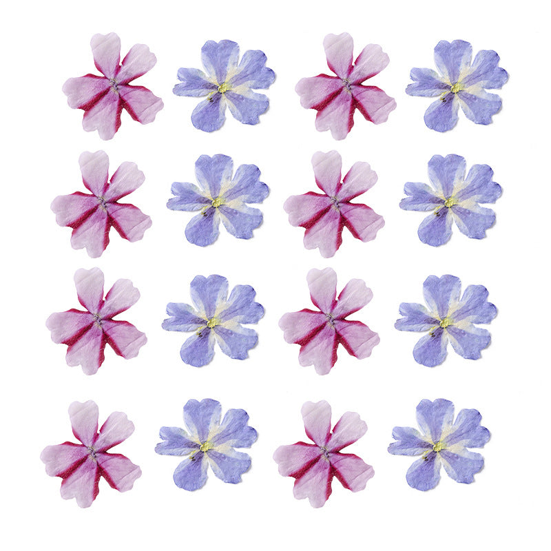 33050bd032f18e61018f71bd56f6d254