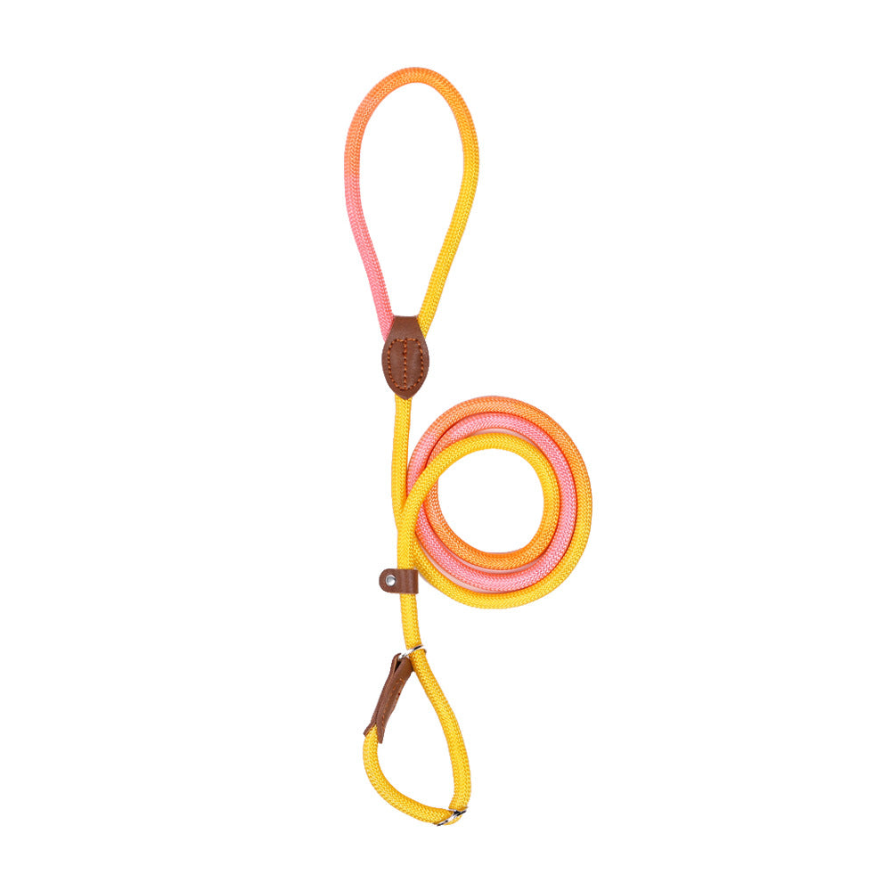 Colorful Durable Bold Nylon Pet Hand Holding Rope