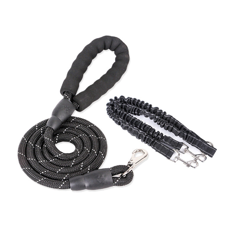 Dogs With One Tow Two Leashes Pets Double Heads