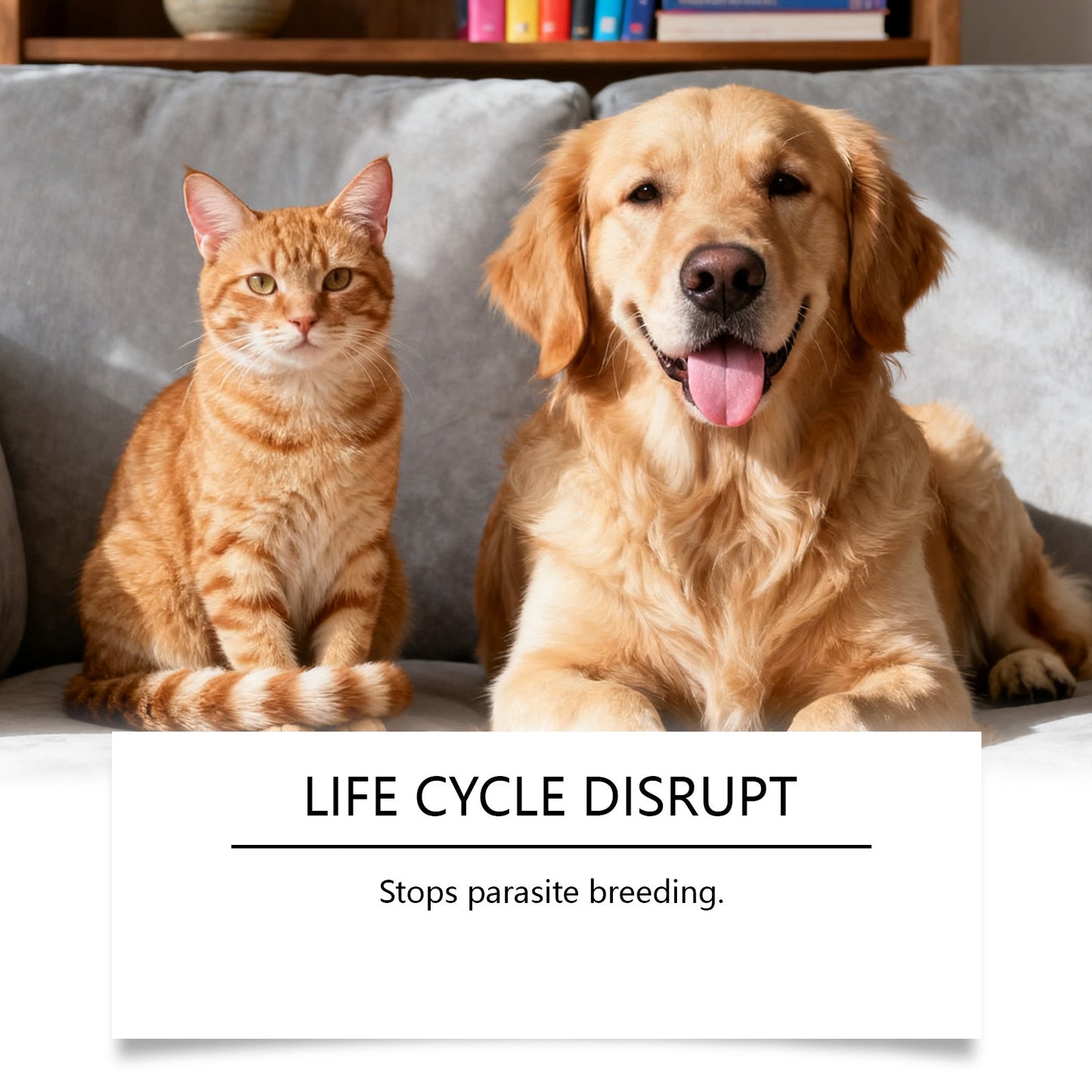 Flea And Tick Prevention Support Drops For Dogs And Cats