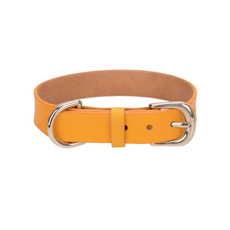 Multi-color Comfortable And Continuous Pet Dog Collar Traction Rope