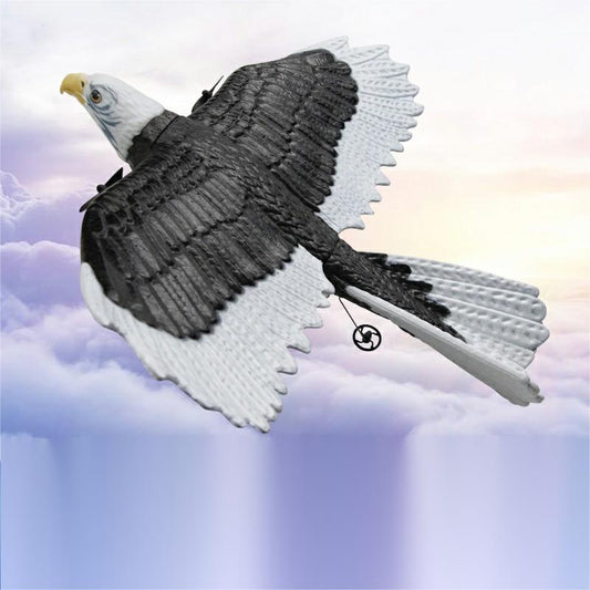 9bdee0bfc06956e8279b746cb9a2d4ff