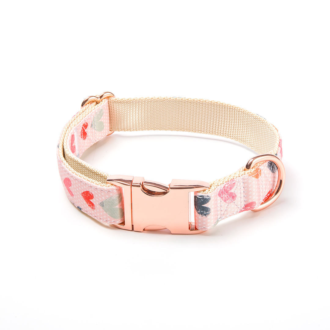 Pet Supplies Metal Buckle Dog Walking Suit