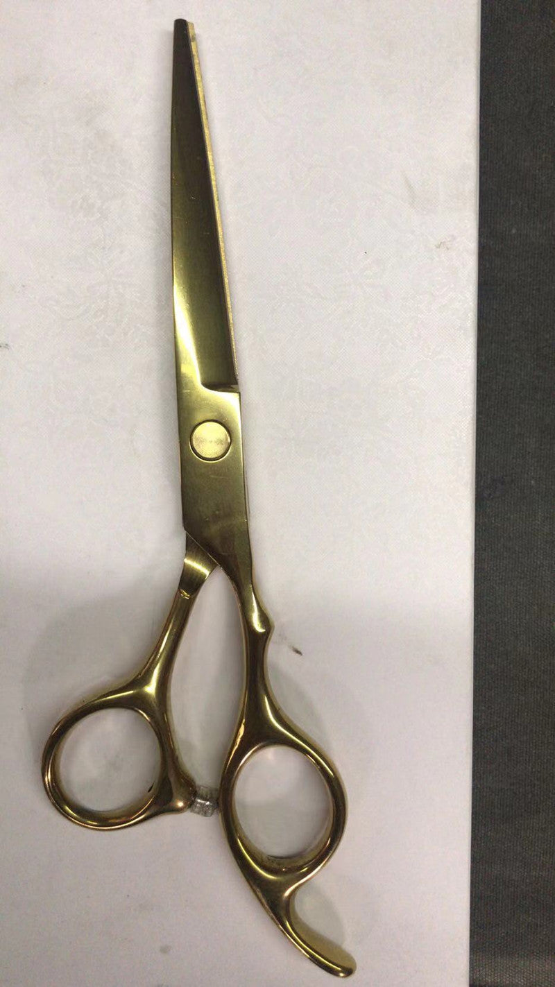 440C steel novice practice shears