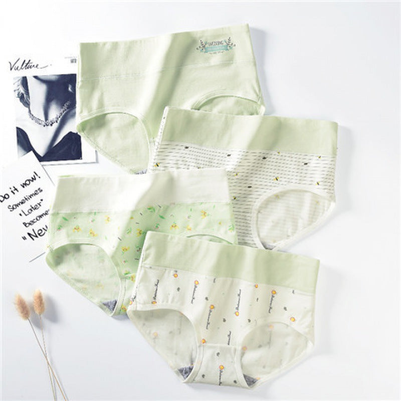Girls' Cotton Briefs High Waist Shorts For Older Girls