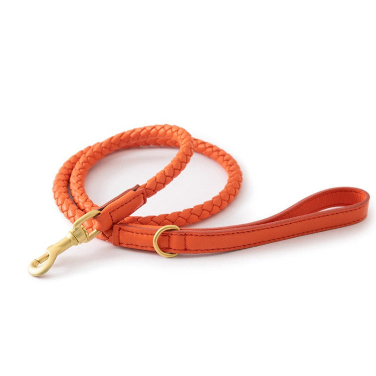 High-end Large Dog Collar Sturdy Netflix Ke Foundation Hair Pet
